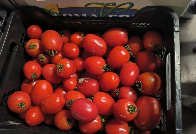 | REDONA Recovery of fruits and vegetables in Mercavalència UPV