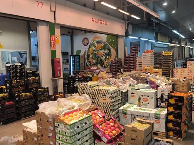 Cajas de frutas en Mercavalència | REDONA Recuperación de frutas y verduras en Mercavalència UPV