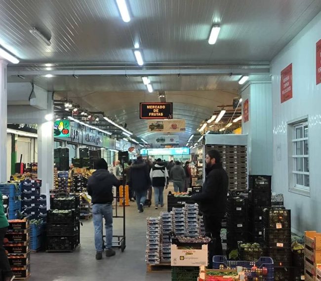 Mercavalència fruit stalls and boxes | REDONA Recovery of fruits and vegetables in Mercavalència UPV